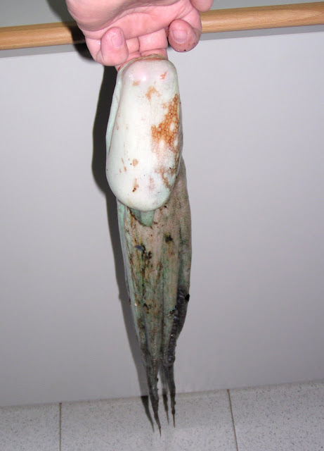 2005-05-28-Emp%C3%BAries_03.jpg]